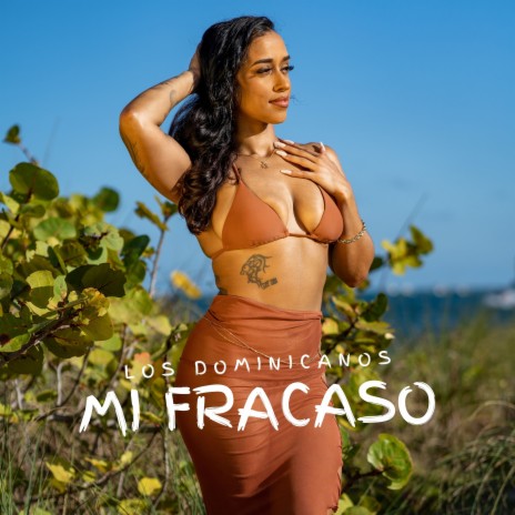 Mi Fracaso | Boomplay Music