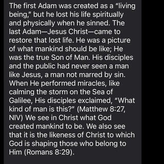 The First Adam