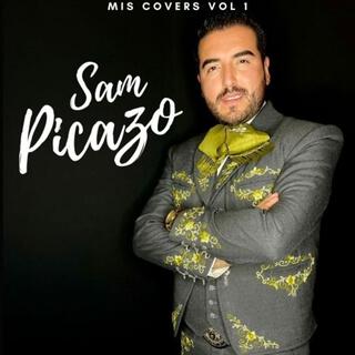 Mis Covers, Vol. 1