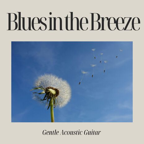 Blues in the Breeze | Boomplay Music