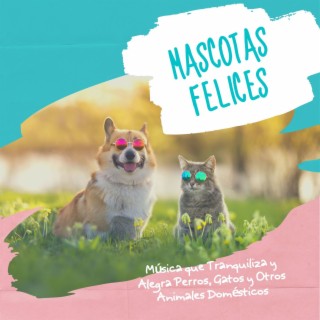 Mascotas Felices: Música que Tranquiliza y Alegra Perros, Gatos y Otros Animales Domésticos