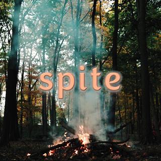 spite lyrics | Boomplay Music