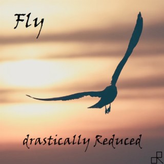 Fly