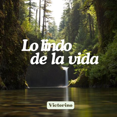 Lo lindo de la vida | Boomplay Music