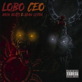 Lobo CEO