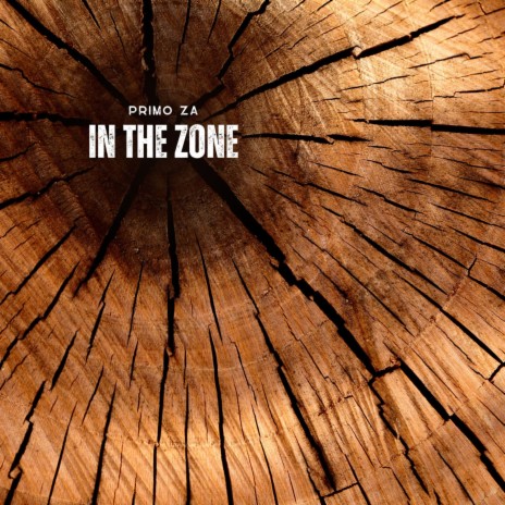 In the Zone (Remastered) | Boomplay Music