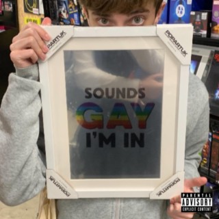 SOUNDS GAY I'M IN (Deluxe)