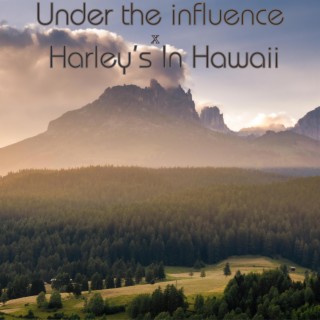 Under the Influence x Harley's in Hawaii