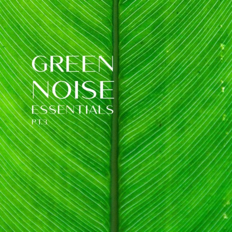 Winter Green Noise | Boomplay Music