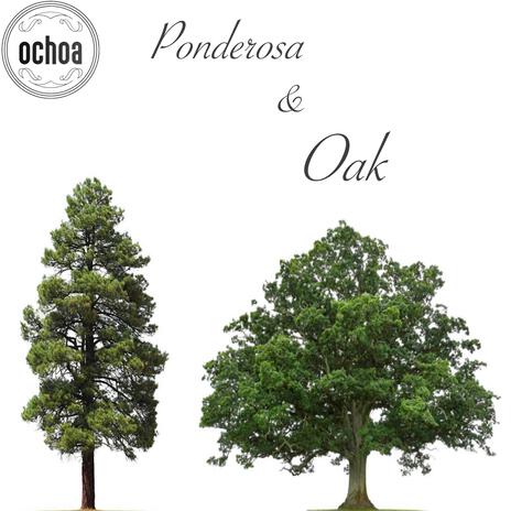 Ponderosa & Oak | Boomplay Music