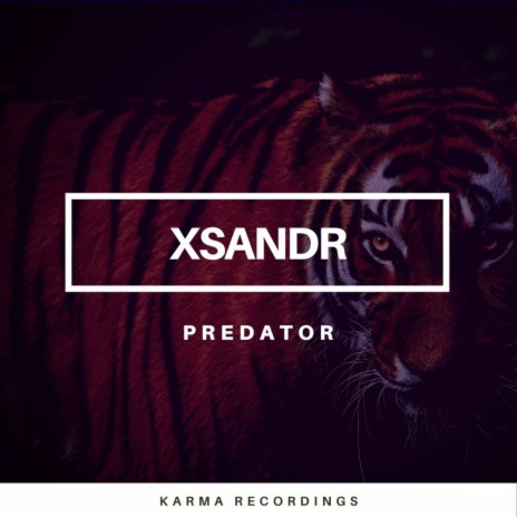 Predator (Original Mix) | Boomplay Music