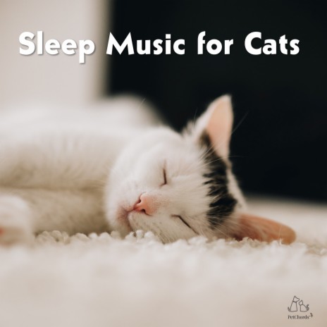 Healing Purrs | Boomplay Music