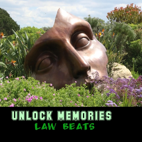 UNLOCK MEMORIES | Boomplay Music