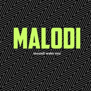 Malodi