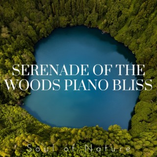 Serenade of the Woods: Piano Bliss