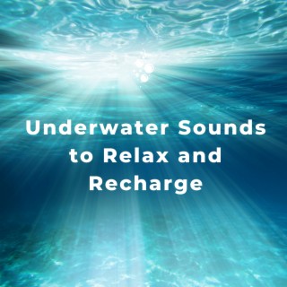 Underwater Sounds to Relax and Recharge