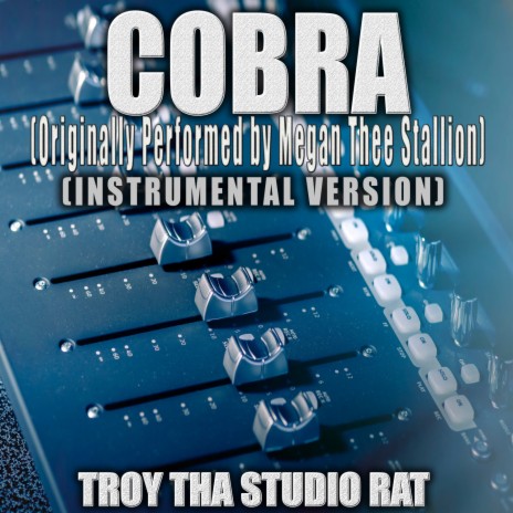 Cobra (Originally Performed by Megan Thee Stallion) (Instrumental Version) | Boomplay Music
