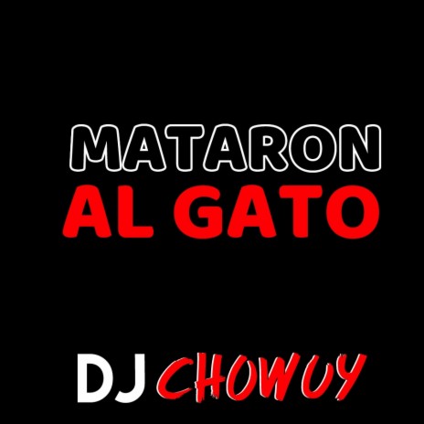 Mataron al Gato | Boomplay Music