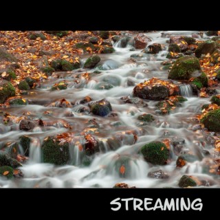 Streaming