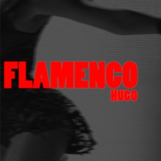 FLAMENCO lyrics | Boomplay Music