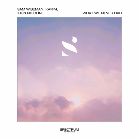 What We Never Had ft. Karim & Idun Nicoline | Boomplay Music