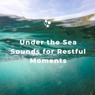 Under the Sea Sounds for Restful Moments