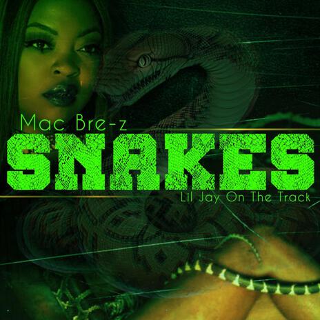 Snakes | Boomplay Music