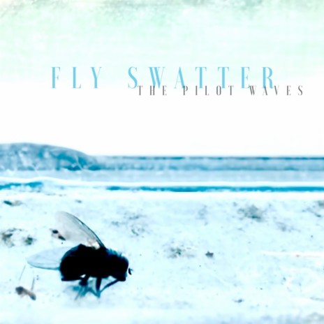 Fly Swatter | Boomplay Music