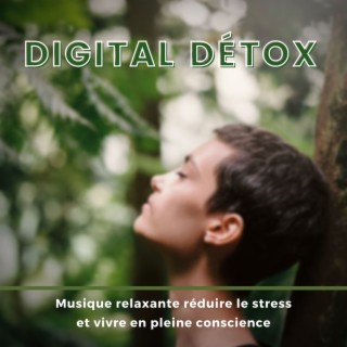 Digital détox: Musique relaxante réduire le stress et vivre en pleine conscience