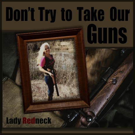 Don't Try To Take Our Guns | Boomplay Music