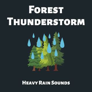 Forest Thunderstorm