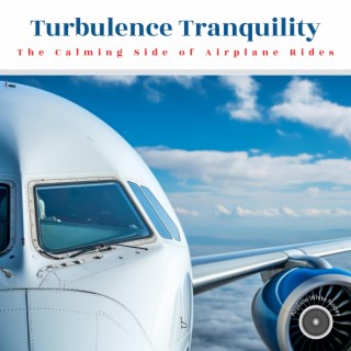 Turbulence Tranquility: The Calming Side of Airplane Rides