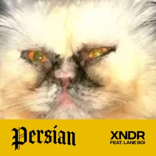 PERSIAN