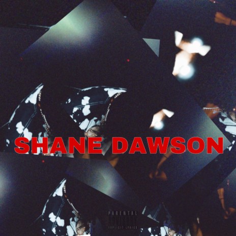 Shane Dawson | Boomplay Music