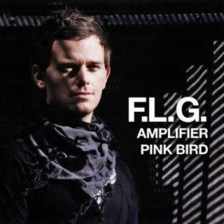 Amplifier / Pink Bird