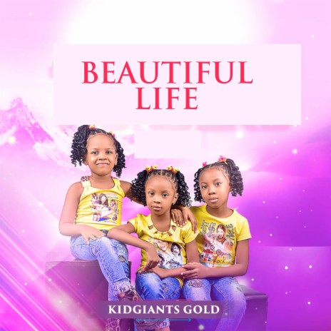 Beautiful Life | Boomplay Music