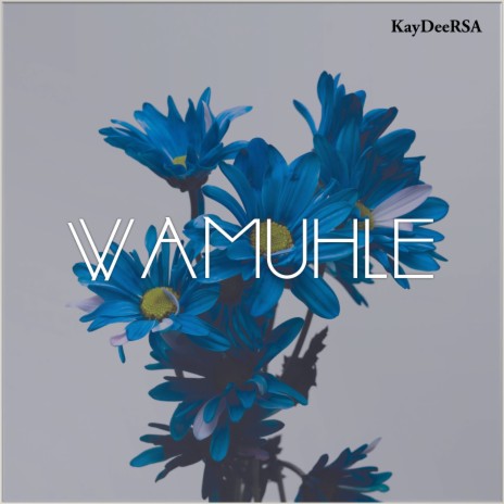 Wamuhle | Boomplay Music