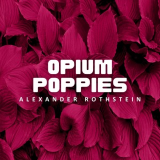 Opium Poppies