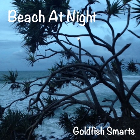 Beach at Night | Boomplay Music