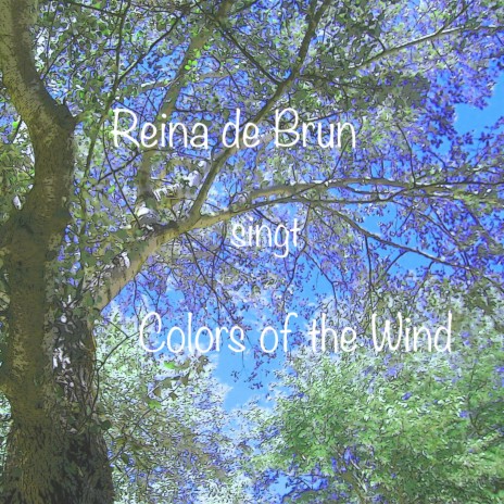 Colors of the Wind | Boomplay Music