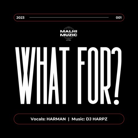 What For ft. DJ Harpz | Boomplay Music