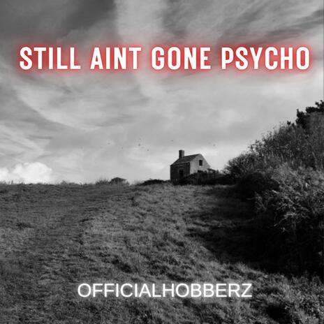 Still Aint Gone Psycho | Boomplay Music