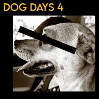 Dog Days 4