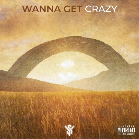 Wanna Get Crazy | Boomplay Music