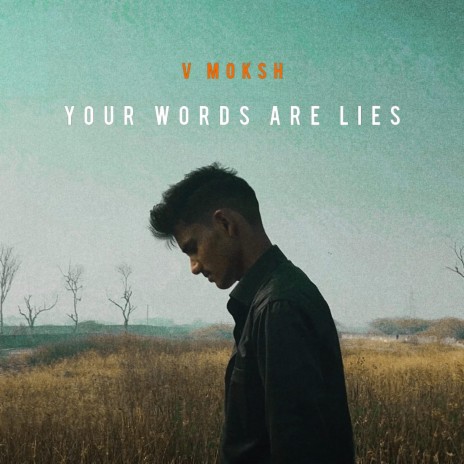 Your Words Are Lies ft. V_moksh | Boomplay Music