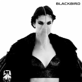 Blackbird