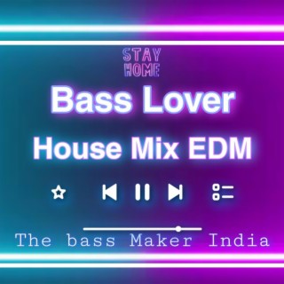 Bass Lover EDM Heavy Bass Music