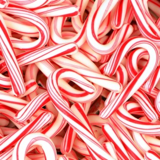 CANDY CANE