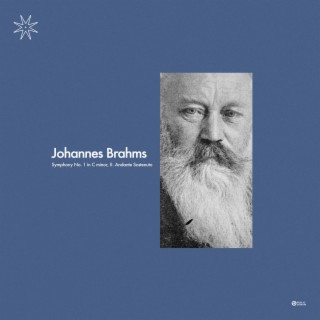 Brahms: Symphony No. 1 in C minor, II. Andante Sostenuto