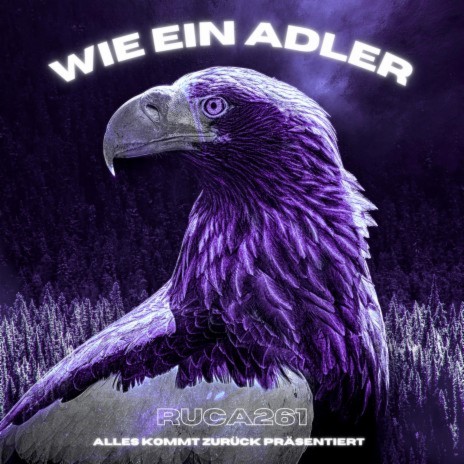 Wie ein Adler | Boomplay Music